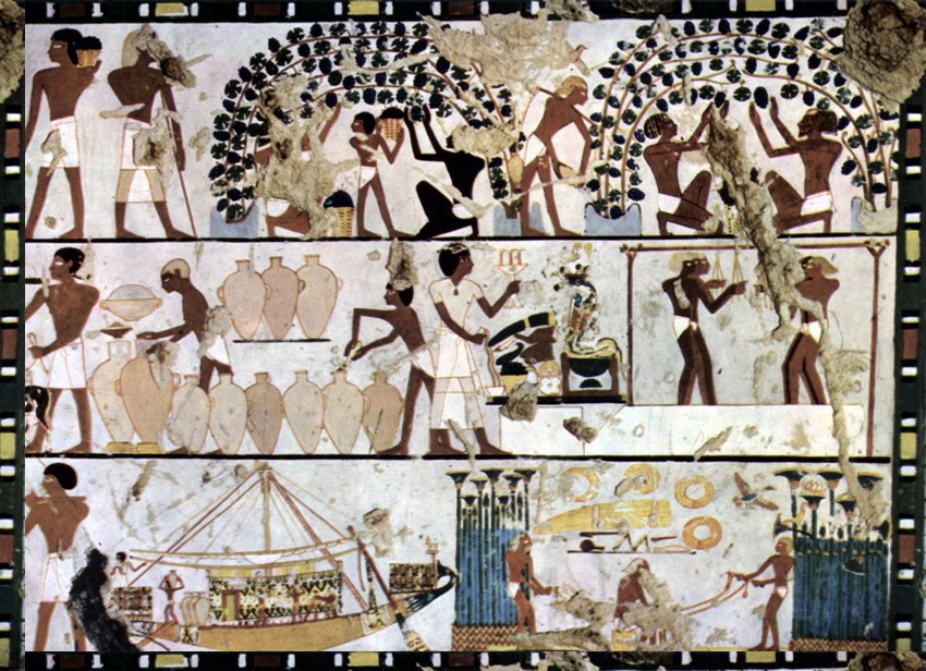 processo de fabricacao de vinho pelos egipcios